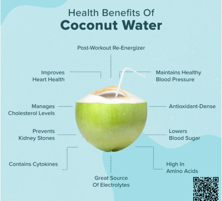 Infographic showing commonly discussed nutritional points about coconut water